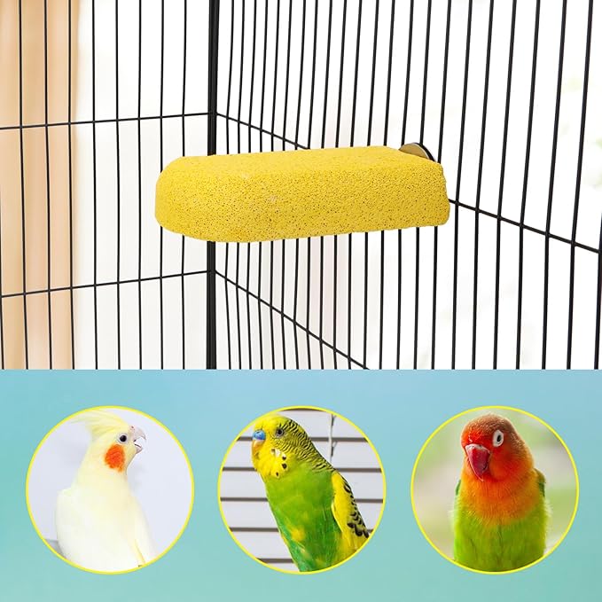 Hypeety Bird Parrot Calcium Teeth Mouth Molar Grinding Stone Hamster Grinding Stone Chew Toy Perch Jumping Stand for Parrot Budgies Chinchilla Squirrel Hamster Cage Stand Platform (Random Colour)