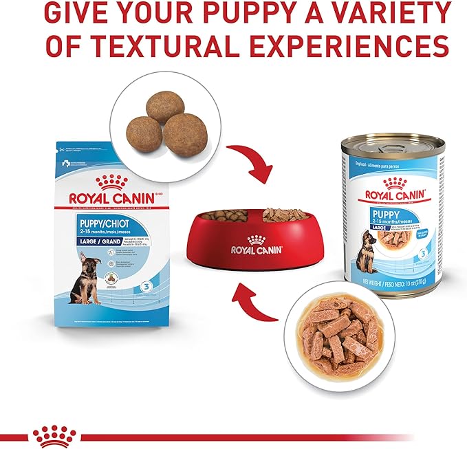 Royal Canin Size Health Nutrition Large Puppy Thin Slices in Gravy Wet Dog Food, 13 Oz Can (6-Pack)