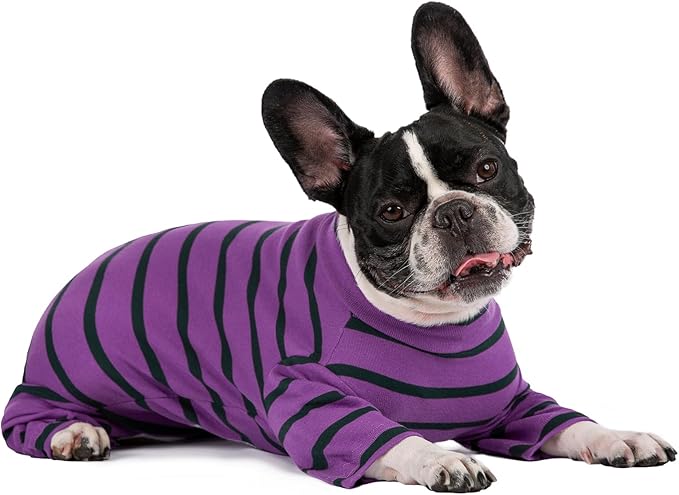 Dog Surgery Recovery Suit for Male/Female, Post Surgery Dog Shirt, After Surgery Dog Bodysuit, E-Collar & Cone Alternative Surgical Clothes, Anti-Licking Dog Snugly Onesie