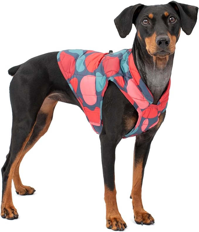 Kurgo Loft Dog Jacket, Reversible Winter Coat for Dogs, Wear with Harness or Sweater, Water Resistant, Reflective, for Small Medium Large Pets (Lava Lamp, XL)