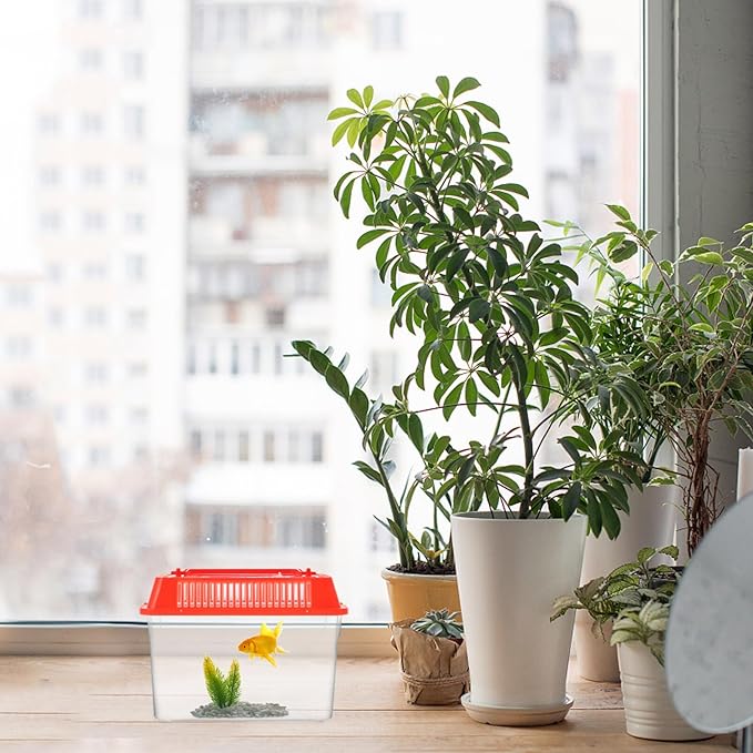 Baluue Portable Fish Tank, Handheld Fish Tank, Plastic Mini Fish Box, Transparent Cutout Design, Plastic Aquarium with Handle for Turtle and Pet Fish ((Red- Lid for Random))