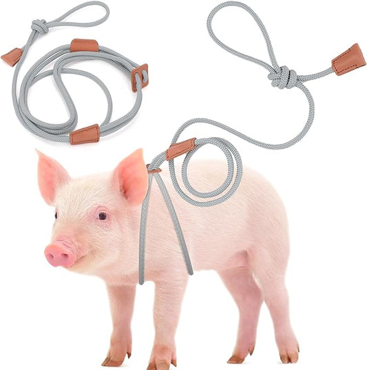 Mini Pig Harness & Leather, Pet Pig Supplies, Adjustable Rope (9 inches long -1/2 inches diameter), Suitable for Small and Medium-sized Pet Pigs(Grey)