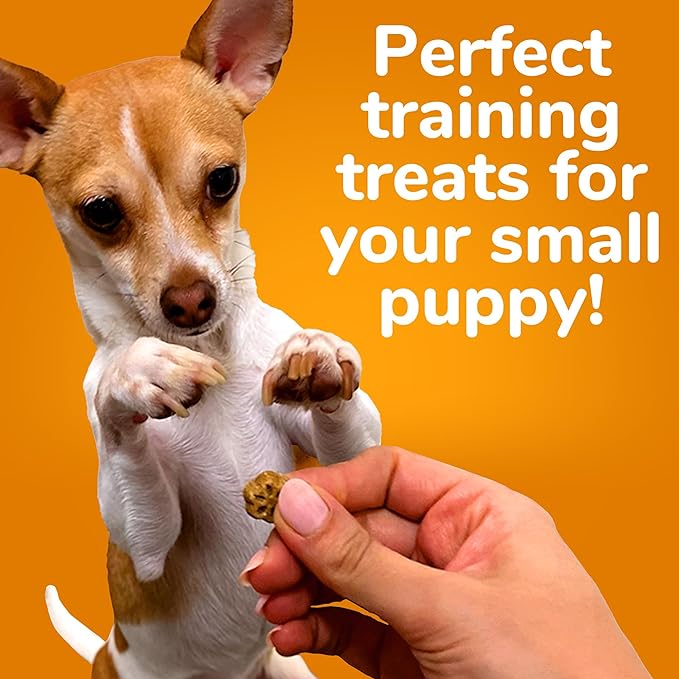 Fruitables Skinny Mini Dog Treats – Healthy Treats for Dogs – Low Calorie Training Treats – Free of Wheat, Corn and Soy – Rotisserie Chicken – 5 Ounces