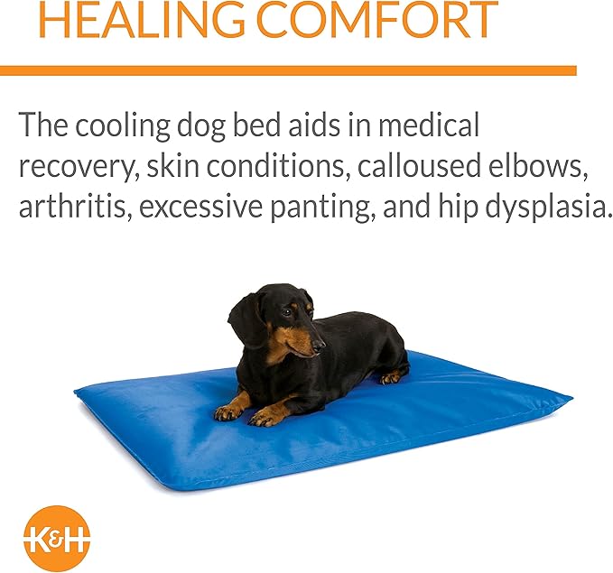 K&H Pet Products Cool Bed III Dog Cooling Mat, Cooling Dog Beds for Small Dogs, Dog Cooling Mat for Dog Carrier, Outdoor Dog Bed Cooling Pad for Dog, Pet Cooling Mat - Blue Small 17 X 24 Inches