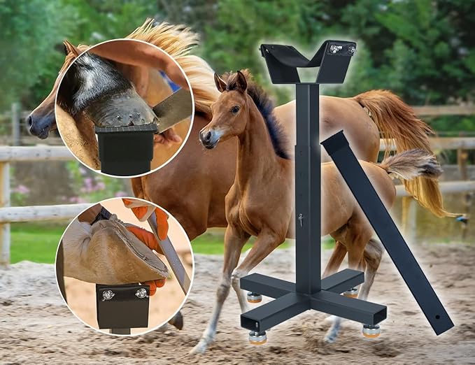 adjustable farrier Stand,hoof stand for horses,hoof jack,horse hoof stand and Step on Hoof stand Black (Cross base)