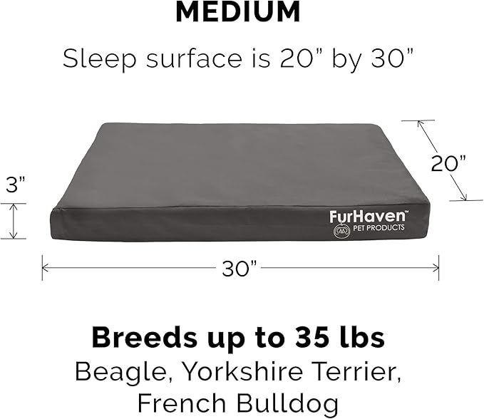 Furhaven Water-Resistant Memory Foam Dog Bed for Medium/Small Dogs w/ Removable Washable Cover, For Dogs Up to 35 lbs - Indoor/Outdoor Logo Print Oxford Polycanvas Mattress - Stone Gray, Medium