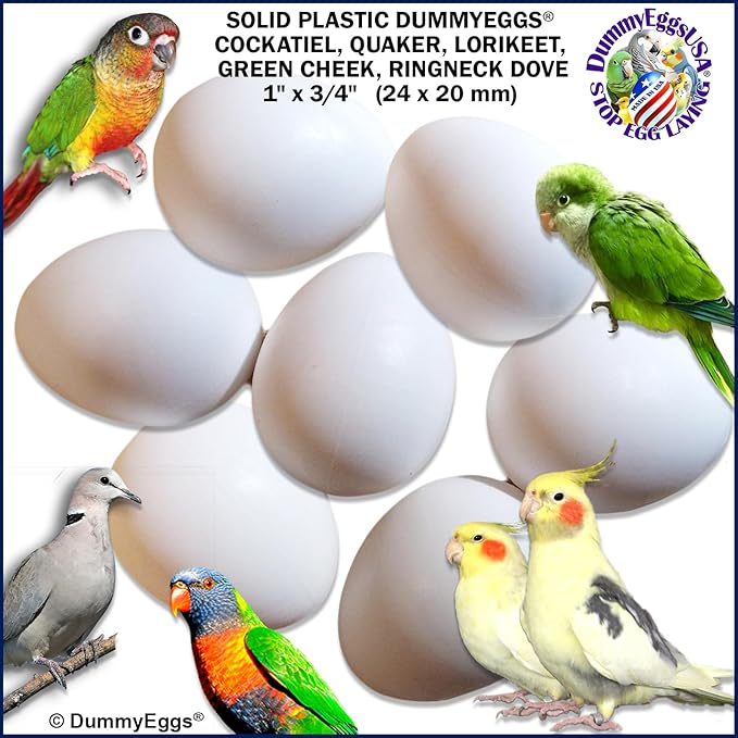 Cockatiel Eggs Stop Laying! 7 Plastic Solid Fake Bird Eggs: Dove, Quaker, Green Cheek, USA