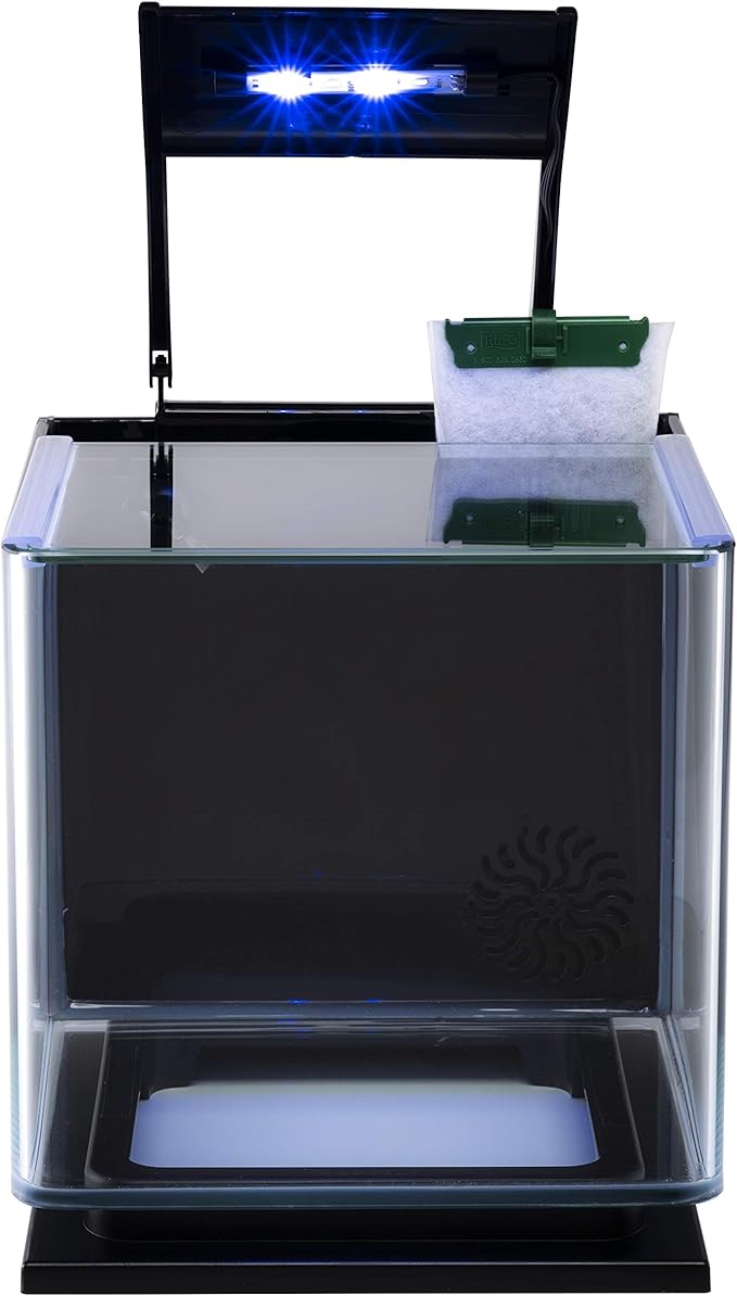 GloFish Betta Aquarium Kit 3 Gallons, Includes LED Lighting And Filter