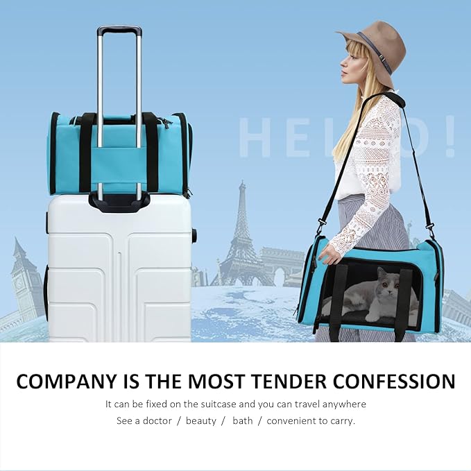 Henkelion Pet Carrier for Small Medium Cats Puppies up to 15 Lbs, Airline Approved Small Dog Travel Puppy Carrier Soft Sided, Collapsible - Blue