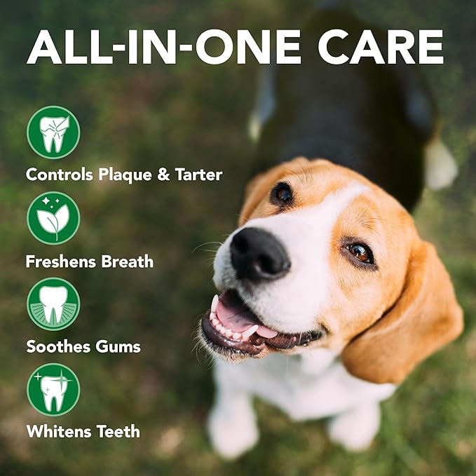 Vet's Best Dog Toothbrush & Toothpaste Kit - Natural Ingredients Reduce Plaque, Whiten Teeth, Freshen Breath