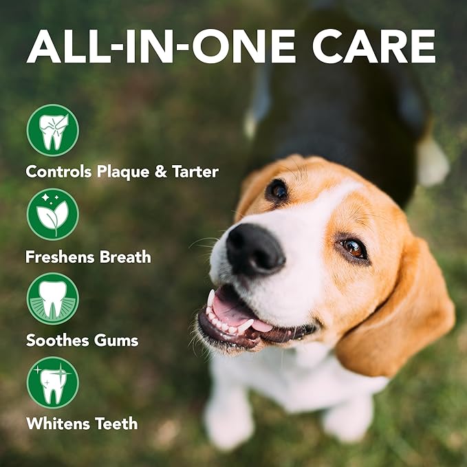 Vet's Best Enzymatic Dog Toothpaste - Teeth Cleaning and Fresh Breath Dental Care Gel - Vet Formulated - 3.5 oz Tubes (12 pack)