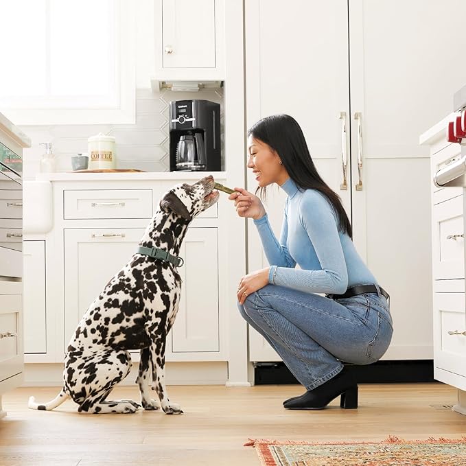 Greenies Original Petite Natural Dental Care Dog Treats, 12 oz. Pack (20 Treats)