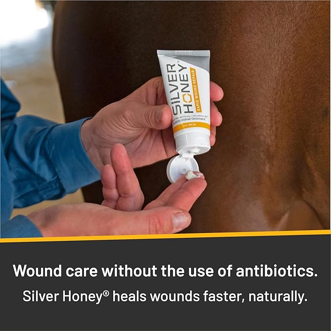 Absorbine Silver Honey Rapid Wound Repair Ointment for Horses & Large Animals, 2oz Tube