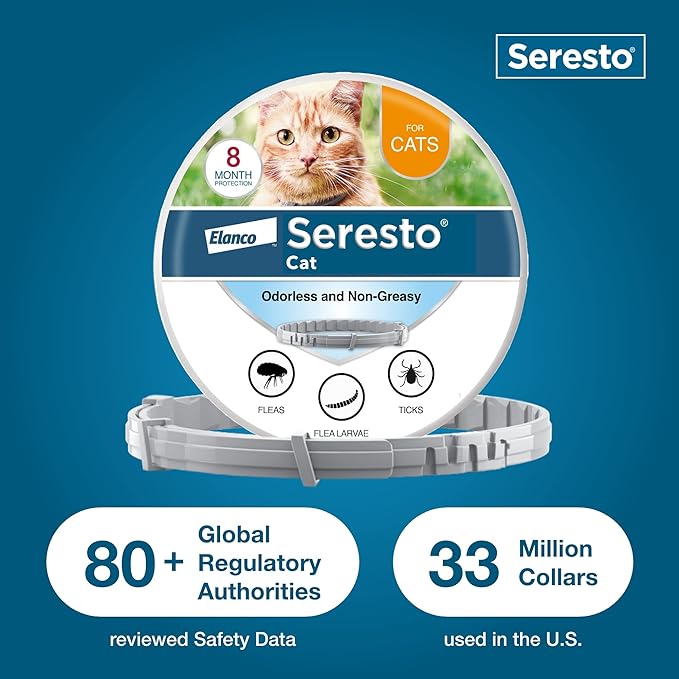 Seresto Cat Vet-Recommended Flea & Tick Treatment & Prevention Collar for Cats | 8 Months Protection