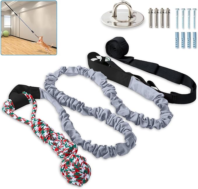 Outdoor Bungee Tug Toy，Dog Toy Hanging from Wall, Interactive Exercise Play Cord & Tether Chew Rope Toy for Large Breed Puppies & Small Dog adult with Fixed Disk for Wall (Gray)