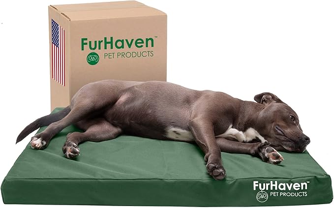 Furhaven Water-Resistant Memory Foam Dog Bed for Large/Medium Dogs w/ Removable Washable Cover, For Dogs Up to 55 lbs - Indoor/Outdoor Logo Print Oxford Polycanvas Mattress - Forest, Large