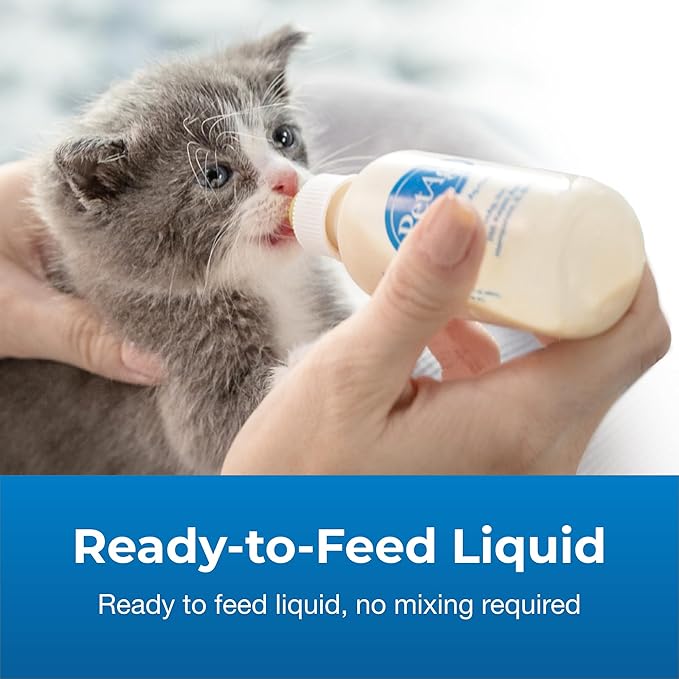 Pet-Ag KMR Kitten Milk Replacer Liquid - 11 oz, Pack of 4 - Ready-to-Feed Kitten Formula with Prebiotics, Probiotics & Vitamins for Kittens Newborn to Six Weeks Old - Easy to Digest