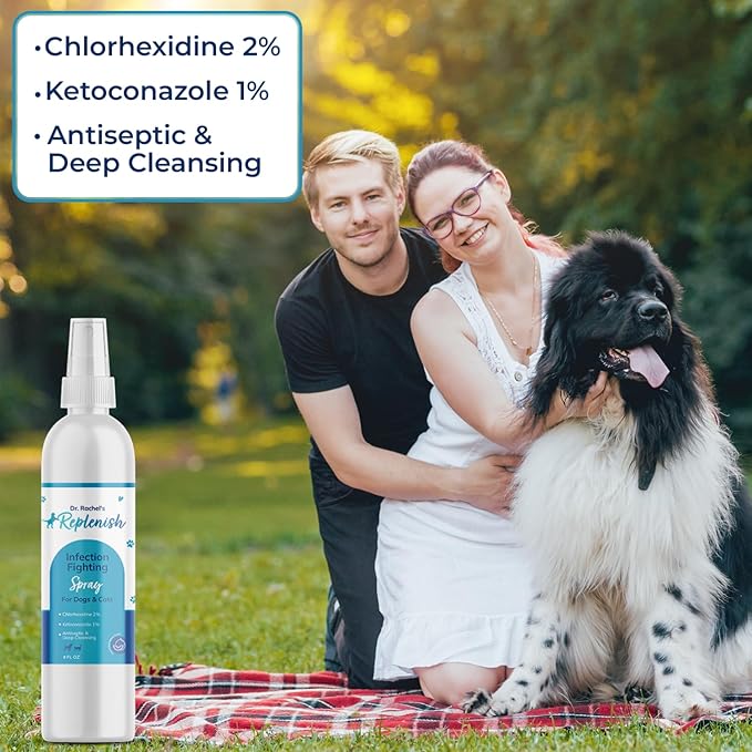 Replenish Skin Soothing Spray for Pets - Hot Spot Spray Treatment for Dogs - Dr. Rachel's Chlorhexidine, Ketoconazole, and Aloe Vera Formula for Dermatological Care in Dogs, Cats, and Horses - 8 oz