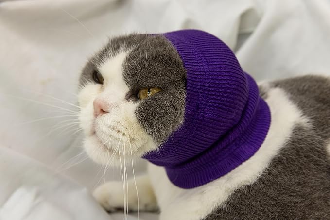 Pet War Flap Head Wrap (2 Pack), No Flap Ear Wrap Cat Small Headband Ears Happy Head Scarf Ear Wrap for Cats Grey+Purple S