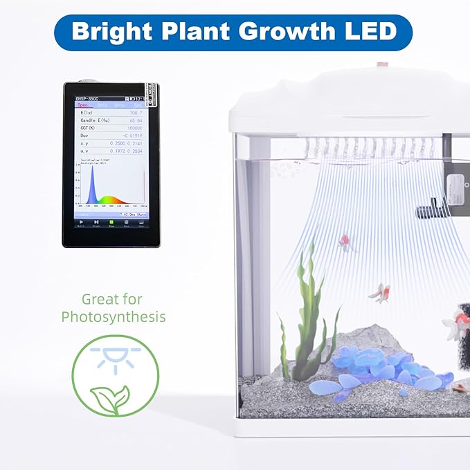 2 Gallon Betta Fish Tank, Small Fish Tank with Filter and Light, Self Cleaning HD Float Glass Tank 3 in 1 Aquarium, Desktop Fish Tank for Guppy, Shrimp, Goldfish (White)