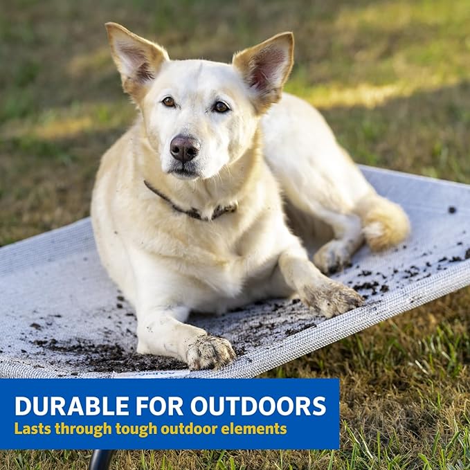 Coolaroo Gale Pacific The Original Cooling Elevated Dog Bed, Indoor and Outdoor, Large, Brunswick Green, 51.00" x 31.50" x 8.00"
