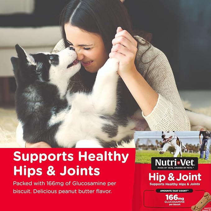 Nutri-Vet Hip & Joint Biscuits for Dogs - Tasty Dog Glucosamine Treat & Dog Joint Supplement - Small Sized Biscuit with 166mg Glucosamine - 19.5 oz - (Package May Vary)