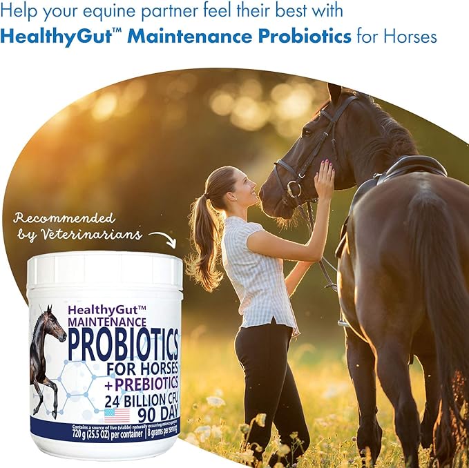 HealthyGut™ Probiotics for Horses Dietary Supplement, All-Natural Digestive System Maintenance Formula (90 Days)