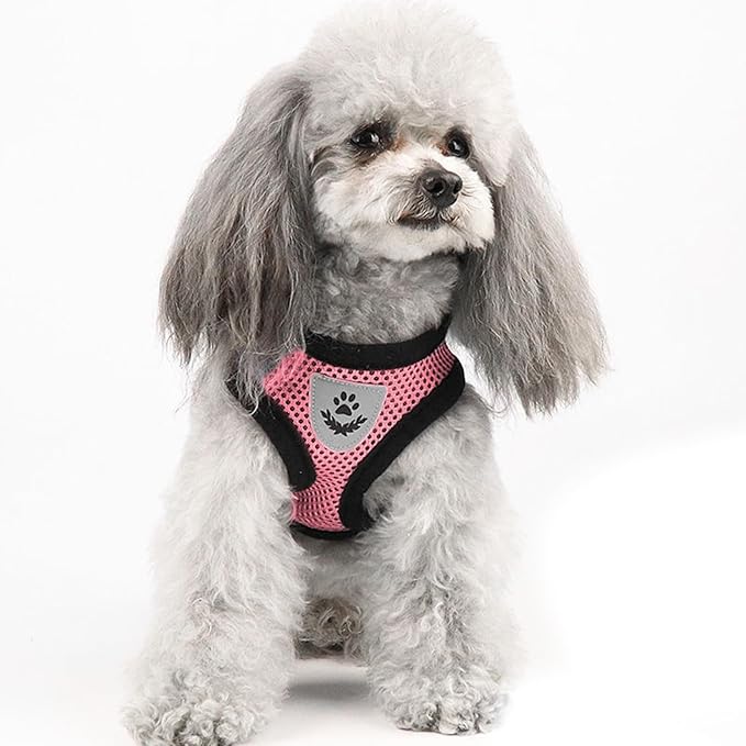 Summer cat Chest Harness and Leash, Anti-Escape Adjustable Soft mesh cat Leash and Chest Harness Set for All Types of Cats cat Vests (Size S,Pink)