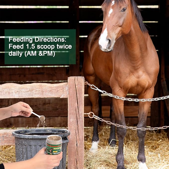 Insulin Resistance Supplement for Horses, Herbal Formulated for High Insulin, Chronic Laminitis, Cushing's Syndrome, Sore Feet, Blood Sugar Reduction & Metabolic Enhancement, 0.44 lbs
