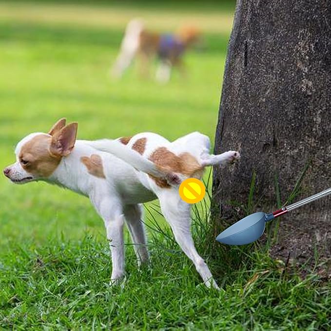 Telescopic Urine Collector, Reusable Dog Urine Sample Catcher, Cat Pee Stick for Veterinary Supplies. with 2 Spoons and 2 Collection Cups