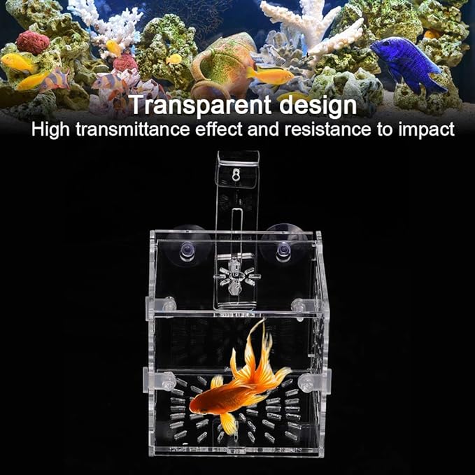 Aquarium Breeding Isolation Box, Transparent Acrylic Fish Isolation Box Fish Separator with Suction Cups for Small Baby Fishes Shrimp Clownfish Guppy(10CM*10CM*10CM)