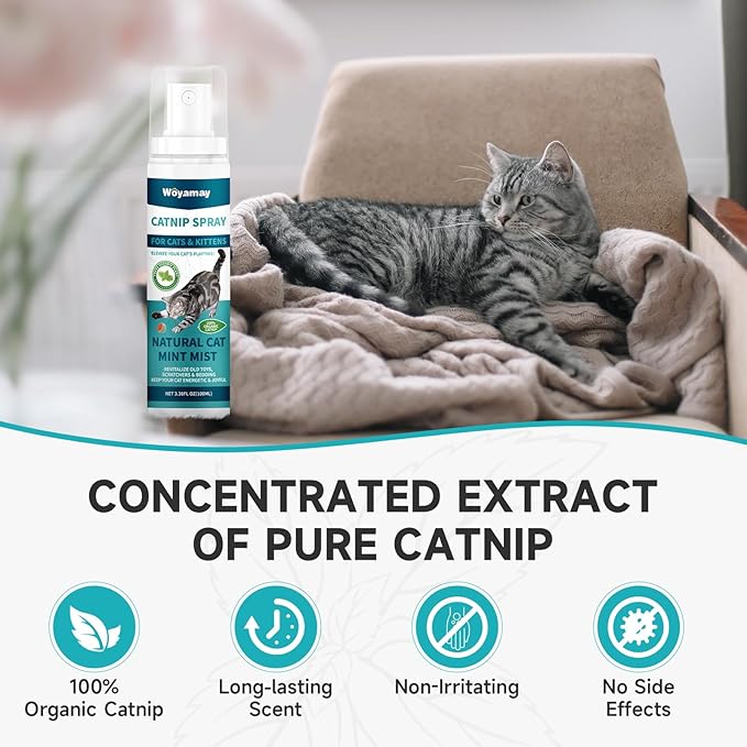 Catnip Spray for Cats, Catnip Spray for Indoor Cats, Catnip for Cats and Kittens, Natural Catnip, Mess-Free Kitten Catnip Mist Spray to Relieve Stress, Revitalizes Toys & Vitality, 6.76 Oz