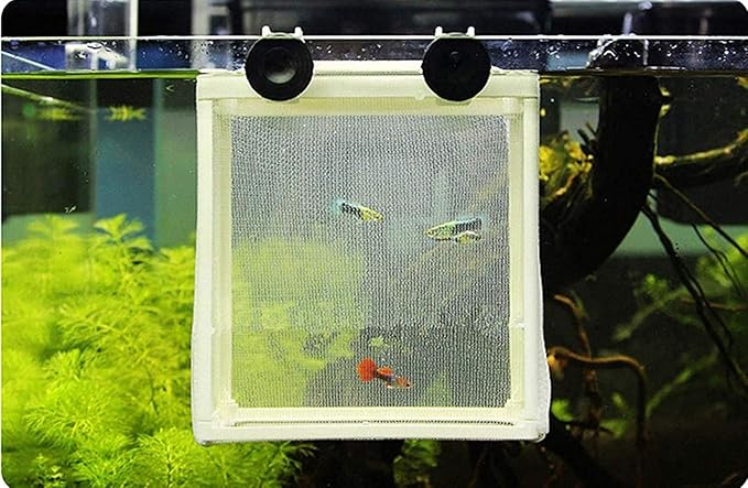 Fish Hatchery Breeder Box Aquarium Separation Net Nylon Incubator Mesh Fish Breeding Tanks Isolation Box White Square 20PCS