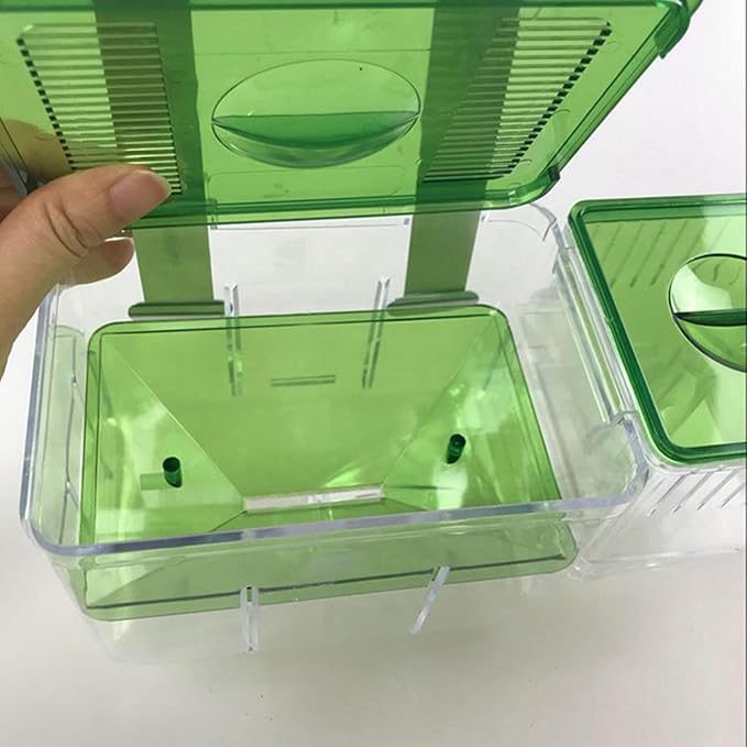 Fish Breeder Box Fish Hatchery Floating Fish Breeding Box with Removable Grating Fish Divider for Agressive Injured Pregnant Fishes