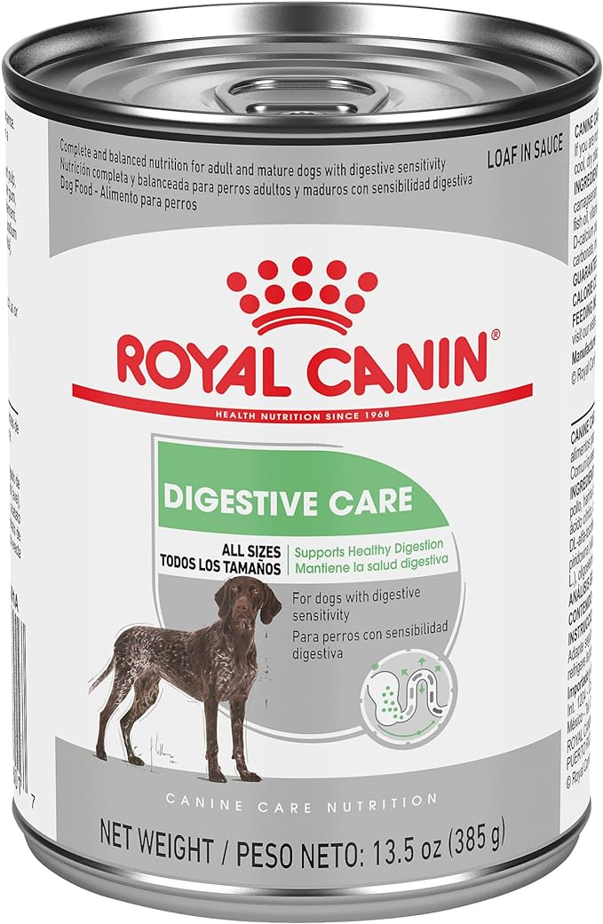 Royal Canin Canine Care Nutrition Digestive Care Loaf in Sauce Wet Dog Food, 13.5 oz can (12-count)