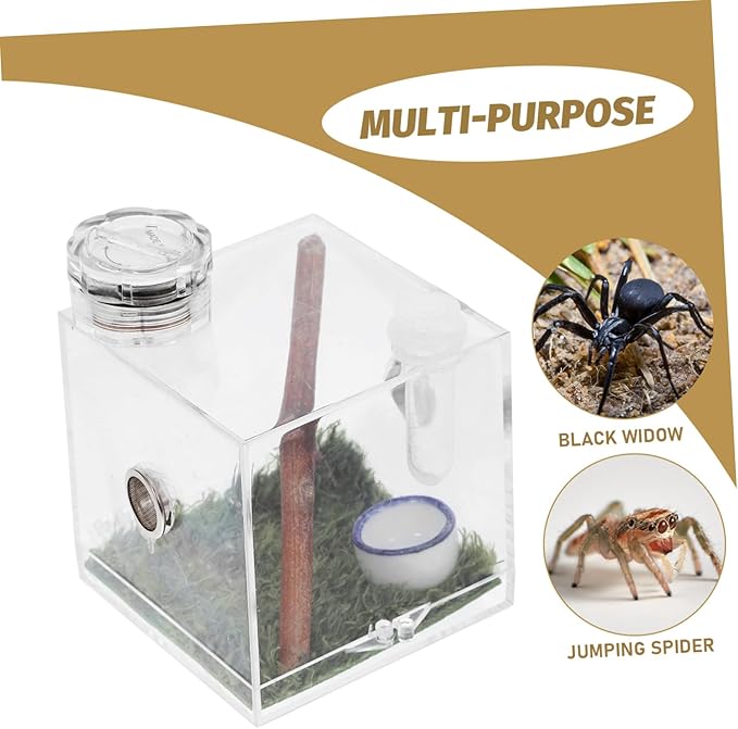 Mipcase 4pcs Box Jumping Spider Breeding Box Spider Habitat Cage Vivarium Tank Spiderling Enclosure Reptile Terrarium Lizard Terrarium Small Spider Enclosure Acrylic Wood Pet Little Spider