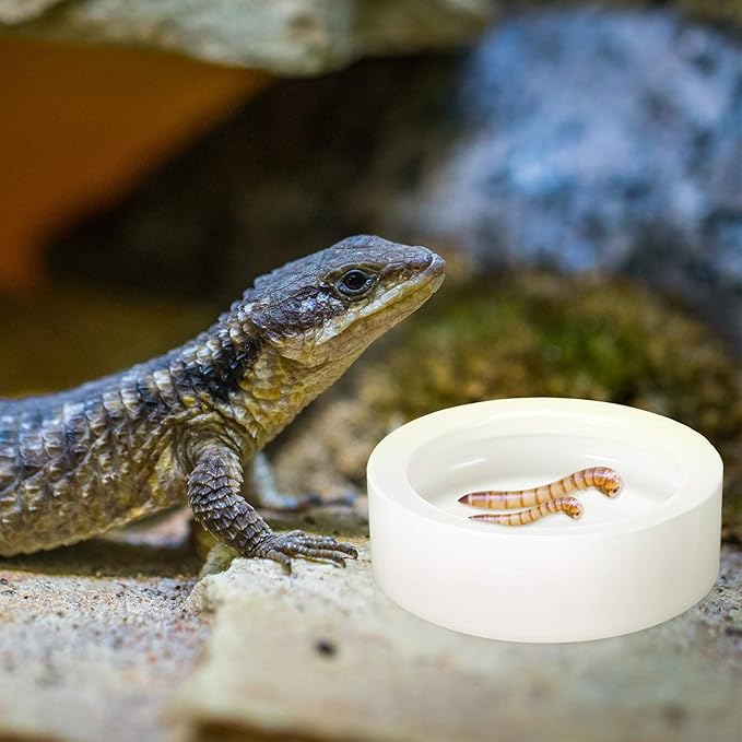 4 Pcs Reptile Bowl Reptile Food Dish Reptile Water Food Bowl Reptile Feeding Dish Ceramic Worm Pet Bowl Anti Escape for Lizard Anoles Bearded