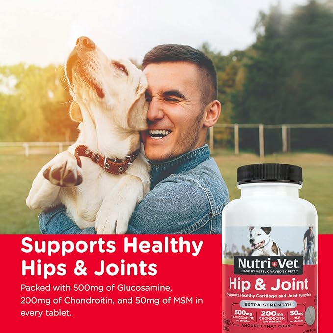 Nutri-Vet Hip & Joint Chewable Dog Supplements | Formulated with Glucosamine & Chondroitin for Dogs | 75 Count
