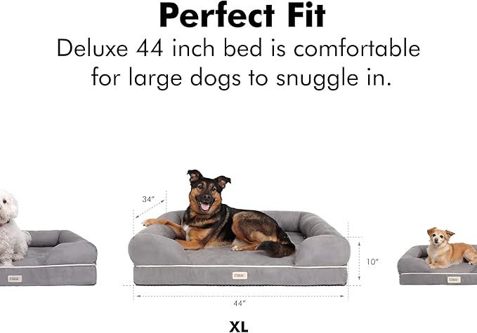 Friends Forever X-Large Dog Bed, Orthopedic Dog Sofa Memory Foam Mattress, Calming Dog Couch Bed, Wall Rim Pillow, Water Resistant Liner, Washable Cover, Non-Slip Bottom, Chester, X-Large Cocoa Brown