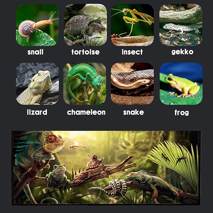 Reptile Terrarium (9Pieces) 8 * 8 * 12 Amphibian Vertical Habitat Tank Starter Kit, Suitable for Small Reptiles such as Geckos, Snakes, Lizards, Chameleons, Serpents(8 * 8 * 12 inchs)