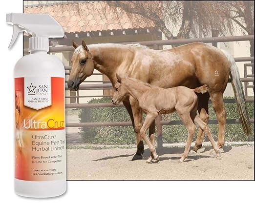 UltraCruz Veterinary Fast Track Herbal Liniment for Horses, 32 oz, Off- White