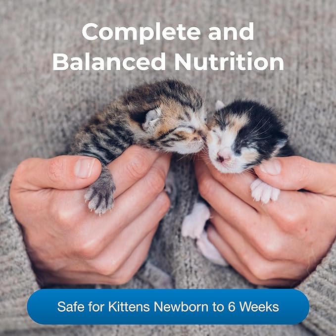 Pet-Ag KMR Kitten Milk Replacer Liquid - 11 oz, Pack of 4 - Ready-to-Feed Kitten Formula with Prebiotics, Probiotics & Vitamins for Kittens Newborn to Six Weeks Old - Easy to Digest