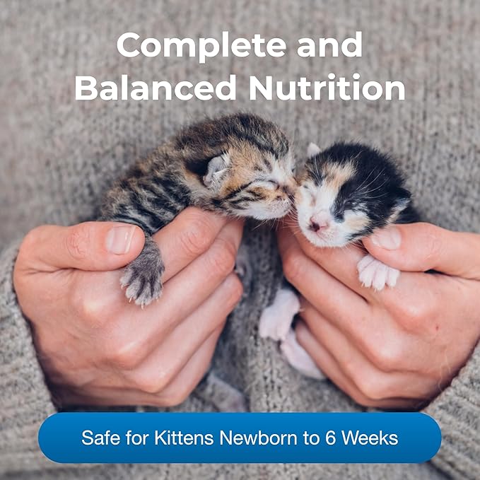 Pet-Ag KMR Kitten Milk Replacer Powder - 12 oz - Powdered Kitten Formula with Prebiotics, Probiotics & Vitamins for Kittens Newborn to Six Weeks Old - Easy to Digest