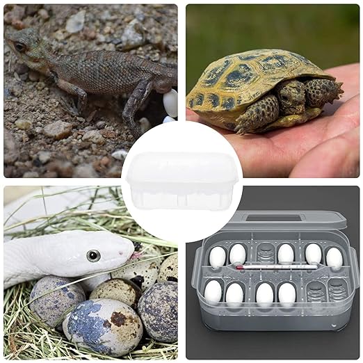 Reptile Egg Incubator Professional Hatcher Hatching Box Case Tray Plastic Breeding Incubator for Hatching Snake,Lizards, Reptiles,Gecko(12 Slots Without Thermometer)