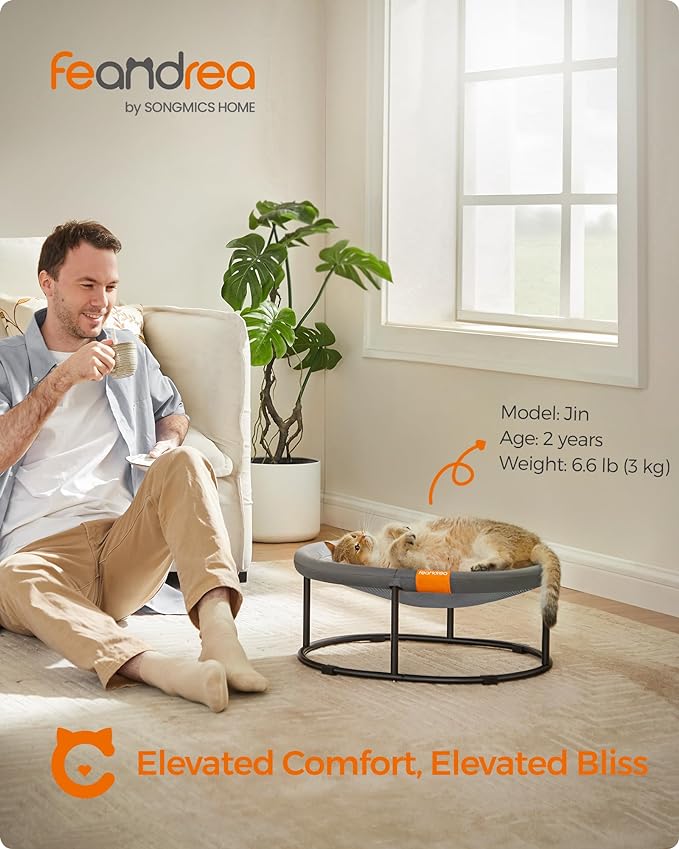 Feandrea Pet Bed, Elevated Cat Bed for Average Cats, Dog Bed for Miniature Dogs, with Removable Washable Mesh, for Pets up to 20 lb, Oval, Gray UPCB001G01