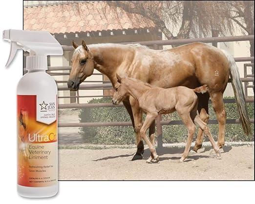 UltraCruz Veterinary Liniment Spray for Horses, 16 oz,sc-395404