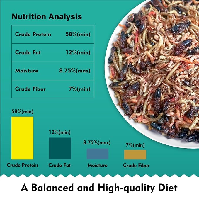 Aquatic Turtle Food - Reptile & Amphibian Food, 3oz Freeze-Dried River Shrimp, Mealworms, and Crickets Medley Treat, Vitamin-Enriched Turtle Shrimp