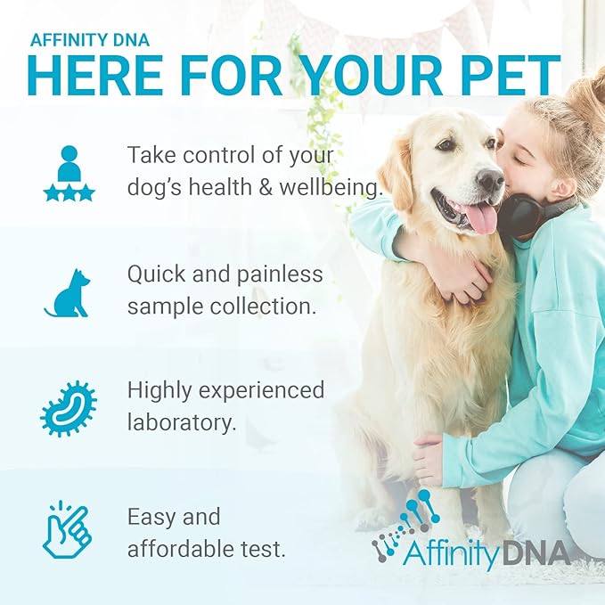 Dog Uric Acid DNA Test for Hyperuricosuria | Home Sample Collection Kit for 1 Canine | Dogs Uric Acid Testing | Results in 7 Working Days | A Complete Kit with No Extra Fees