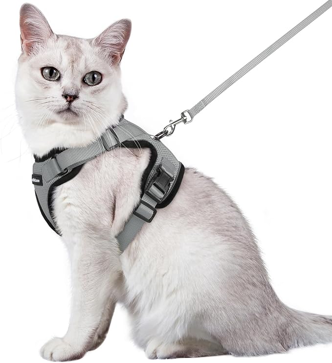 rabbitgoo Cat Harness and Leash for Walking, Escape Proof Soft Adjustable Vest Harnesses for Cats, Easy Control Breathable Reflective Strips Jacket, Grey, M