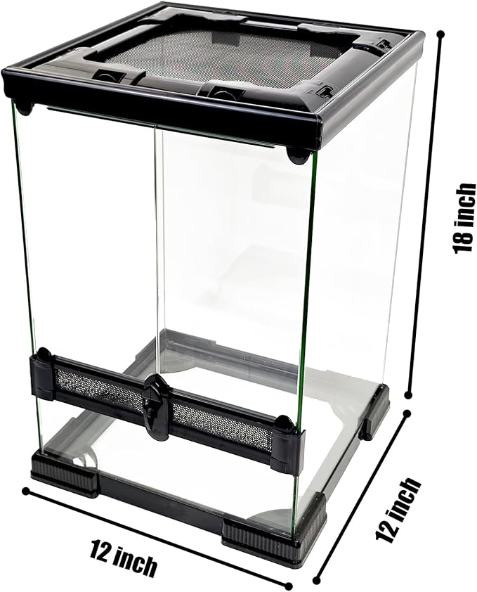 10 Gallon Reptile Glass Tank 12"x12"x18", Full Vision Reptile Terrarium, Vertical Reptile enclosure with Deep Base & Top Screen Ventilation, Suitable for Reptiles and Amphibians